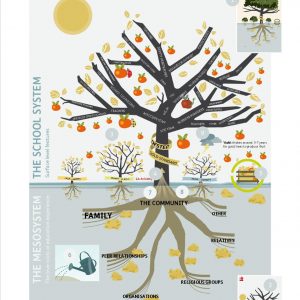 Education infographic showing the whole system with stakeholders.